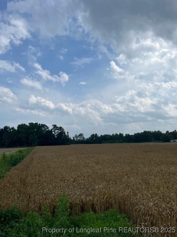 55 Nc Highway Dunn, NC 28334 - Photo 1 of 4 a view of outside space