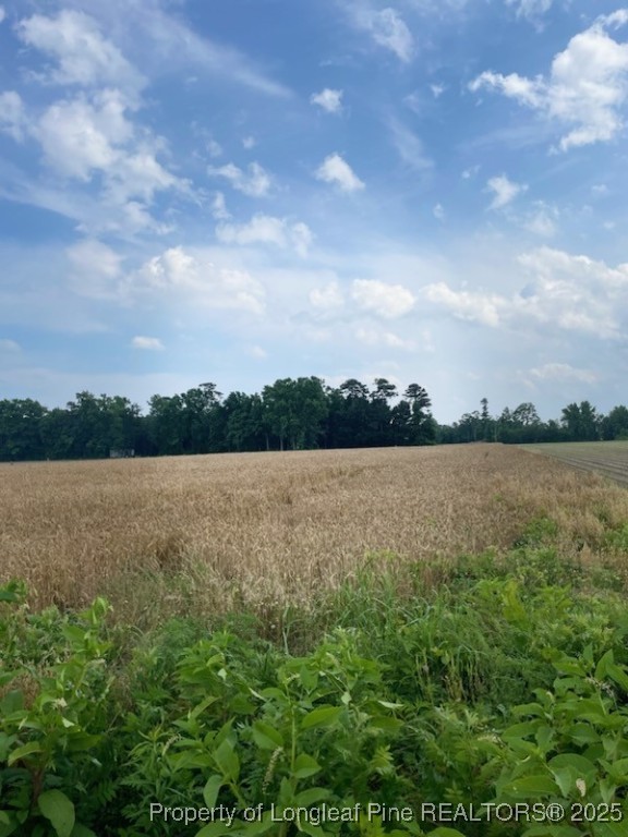 55 Nc Highway Dunn, NC 28334 - Photo 2 of 4 a view of lake