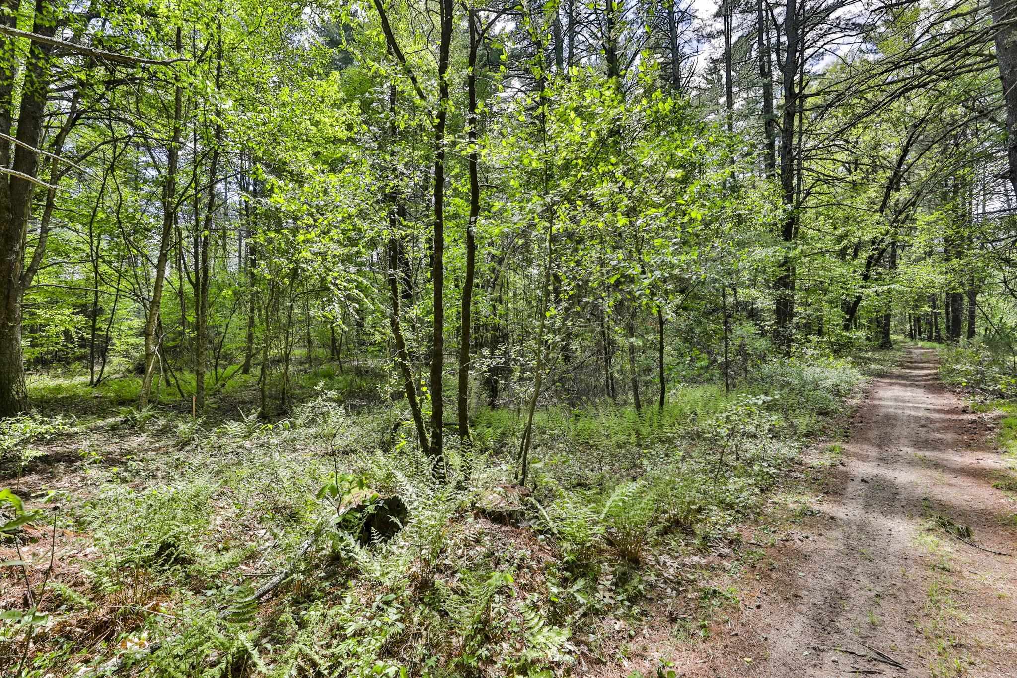2-a & 2b Camp Road Amherst, NH 03031 - Photo 7 of 12