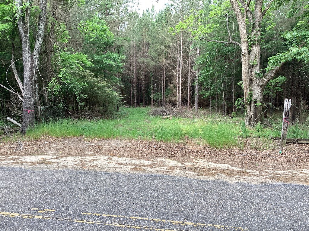 1290 Guy Branch Road Cottonwood, AL 36320 - Photo 19 of 20