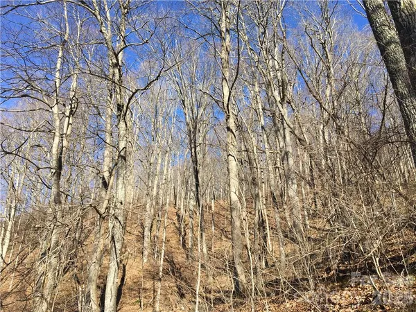 $55,000 | 99999 Red Oak Forest Road, Fairview, NC 28730