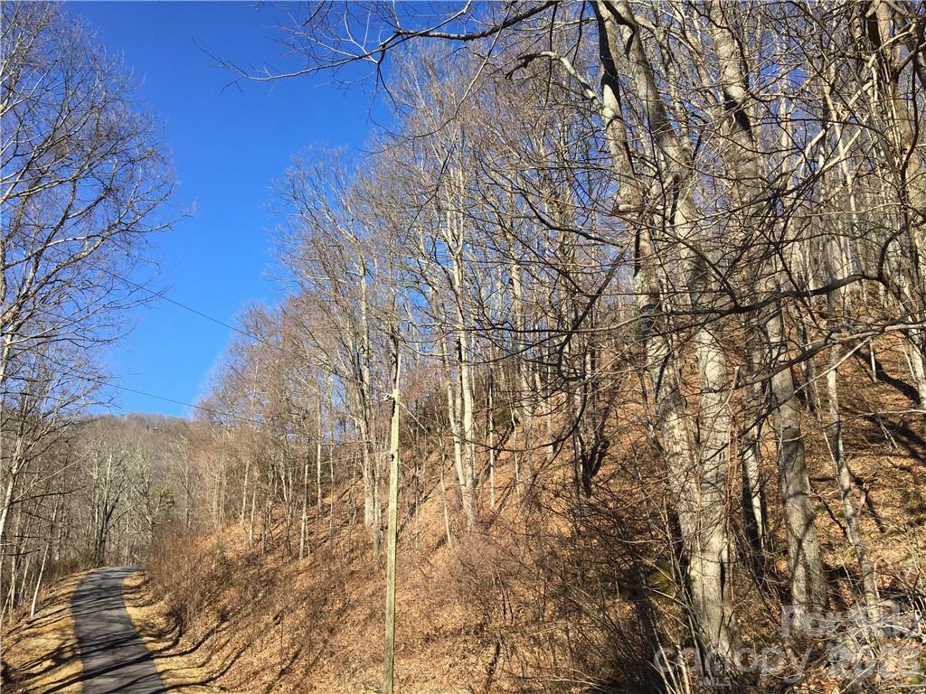 99999 Red Oak Forest Road Fairview, NC 28730 - Photo 2 of 8