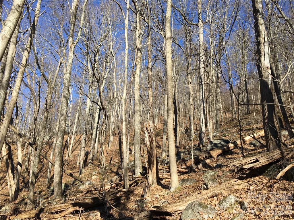 99999 Red Oak Forest Road Fairview, NC 28730 - Photo 3 of 8