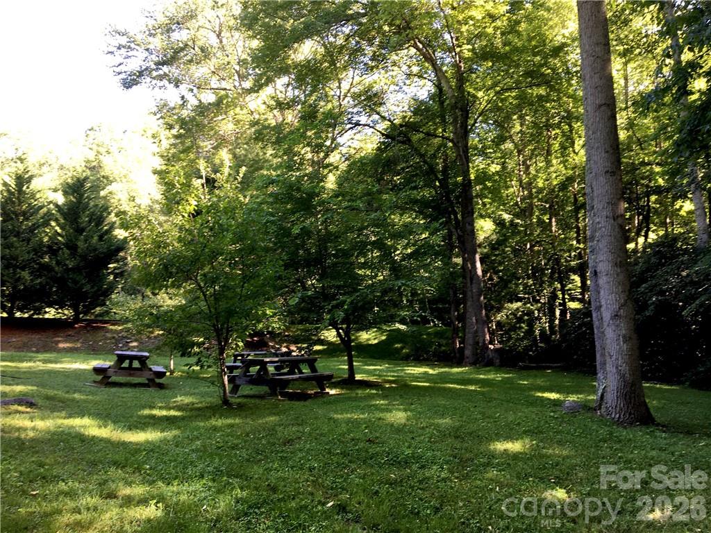 99999 Red Oak Forest Road Fairview, NC 28730 - Photo 7 of 8 a view of park