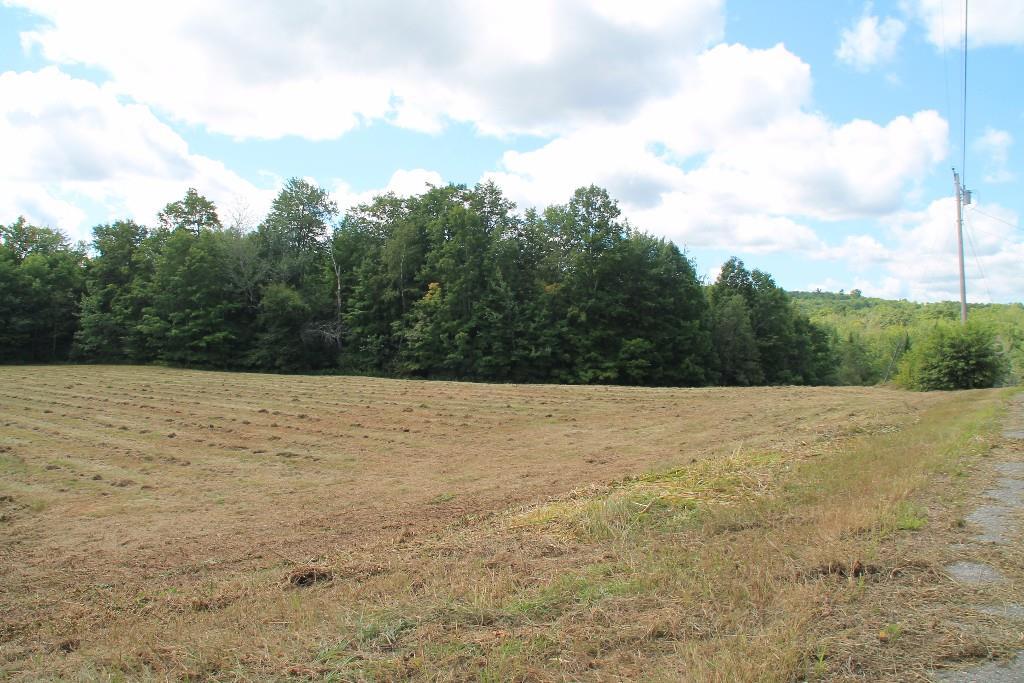 Lot 20 Lot Road Swanville, ME 04915 - Photo 10 of 10 View from road