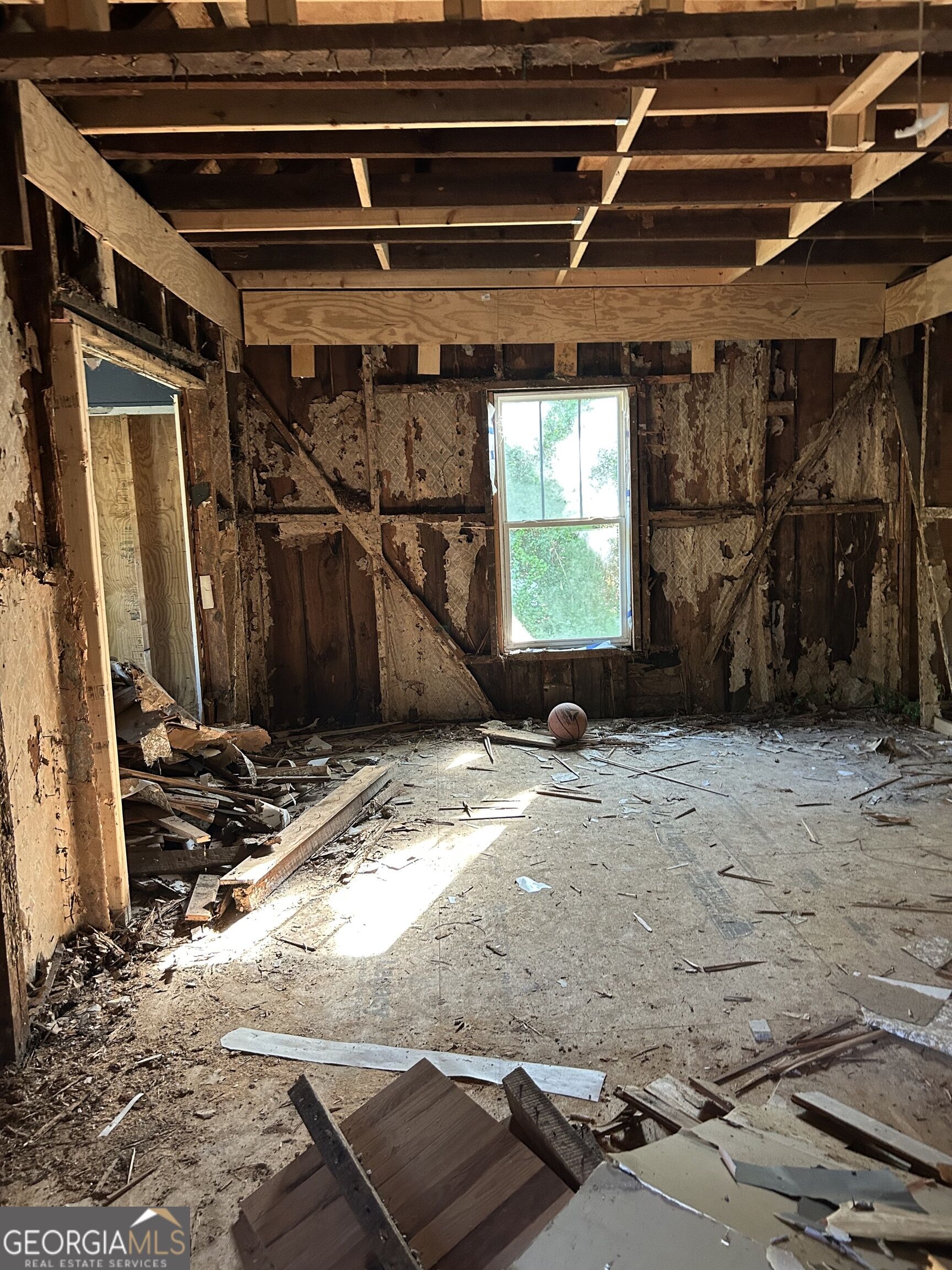 Gallery Image 6
