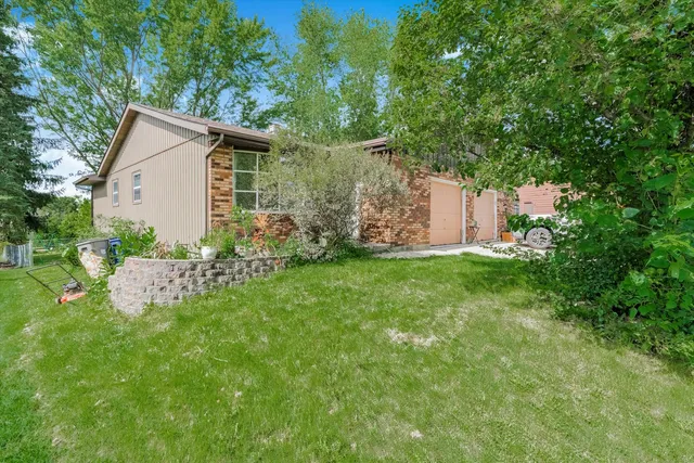 a view of a backyard with plants and large trees