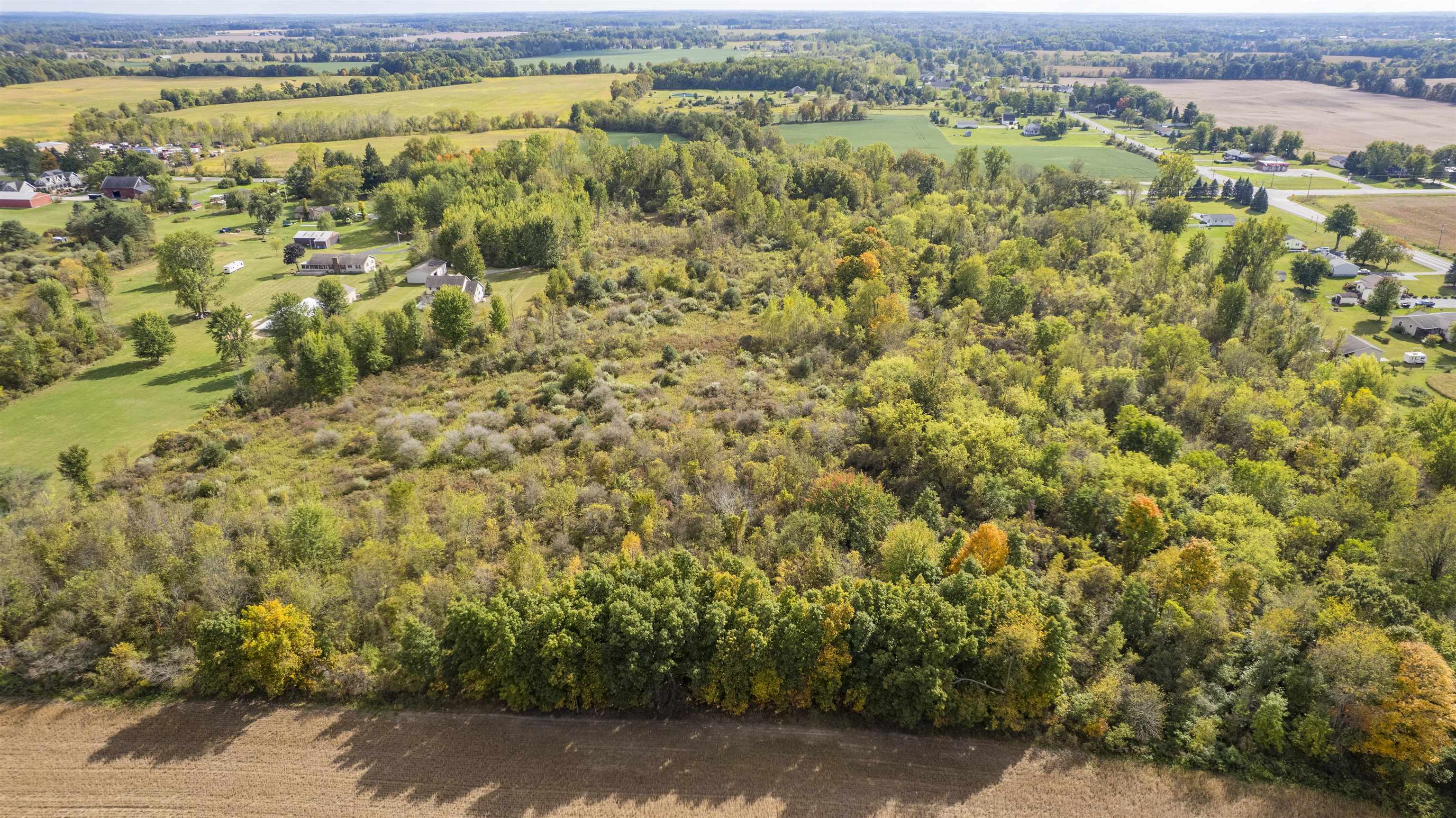 Gd Blanc Road Gaines, MI 48436 - Photo 7 of 11