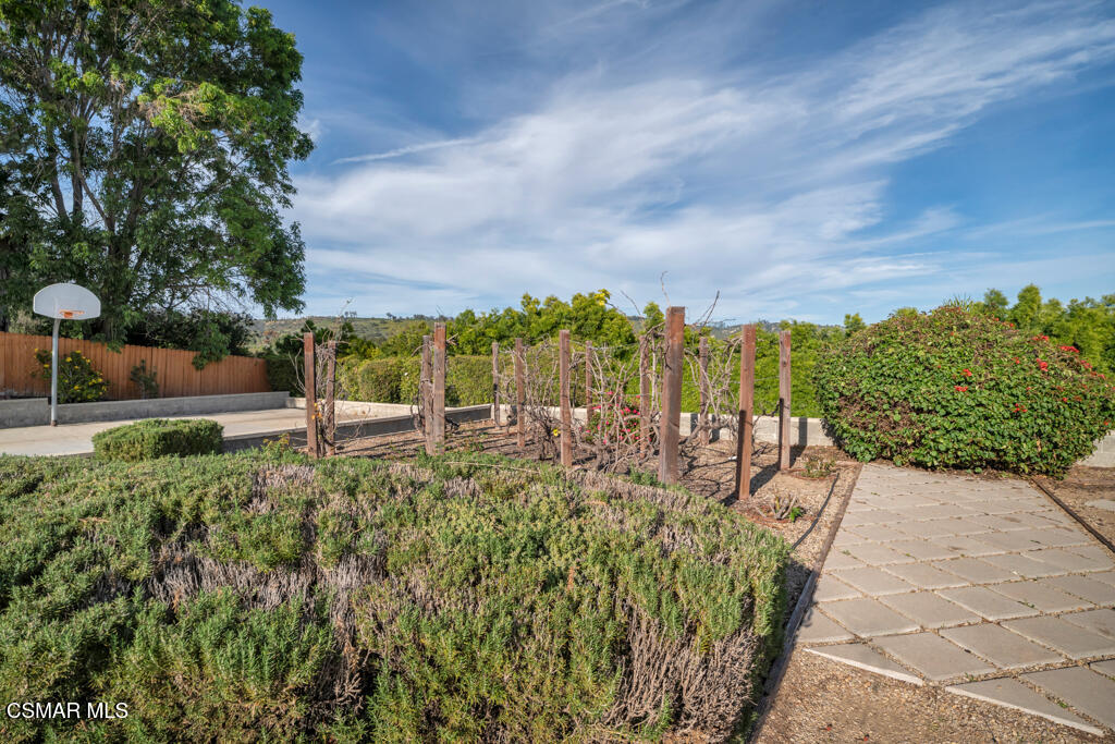 1660 San Rafael Way Camarillo, CA 93012 - Photo 46 of 63 a view of a yard with plants and a large tree
