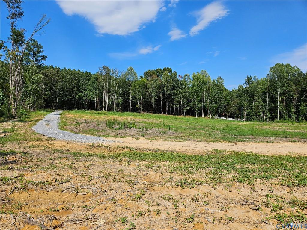 Selma Road Jetersville, VA 23083 - Photo 4 of 11 Gallery Image 4