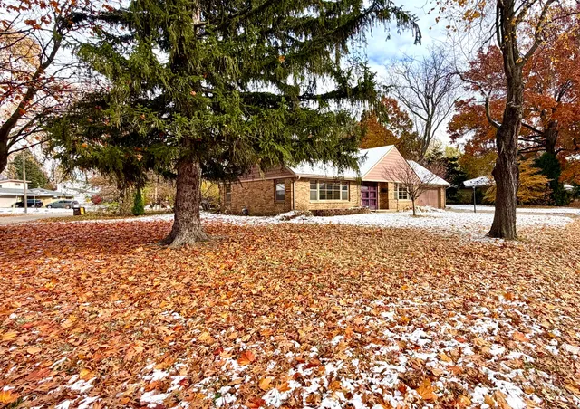 a tree in the middle of a yard