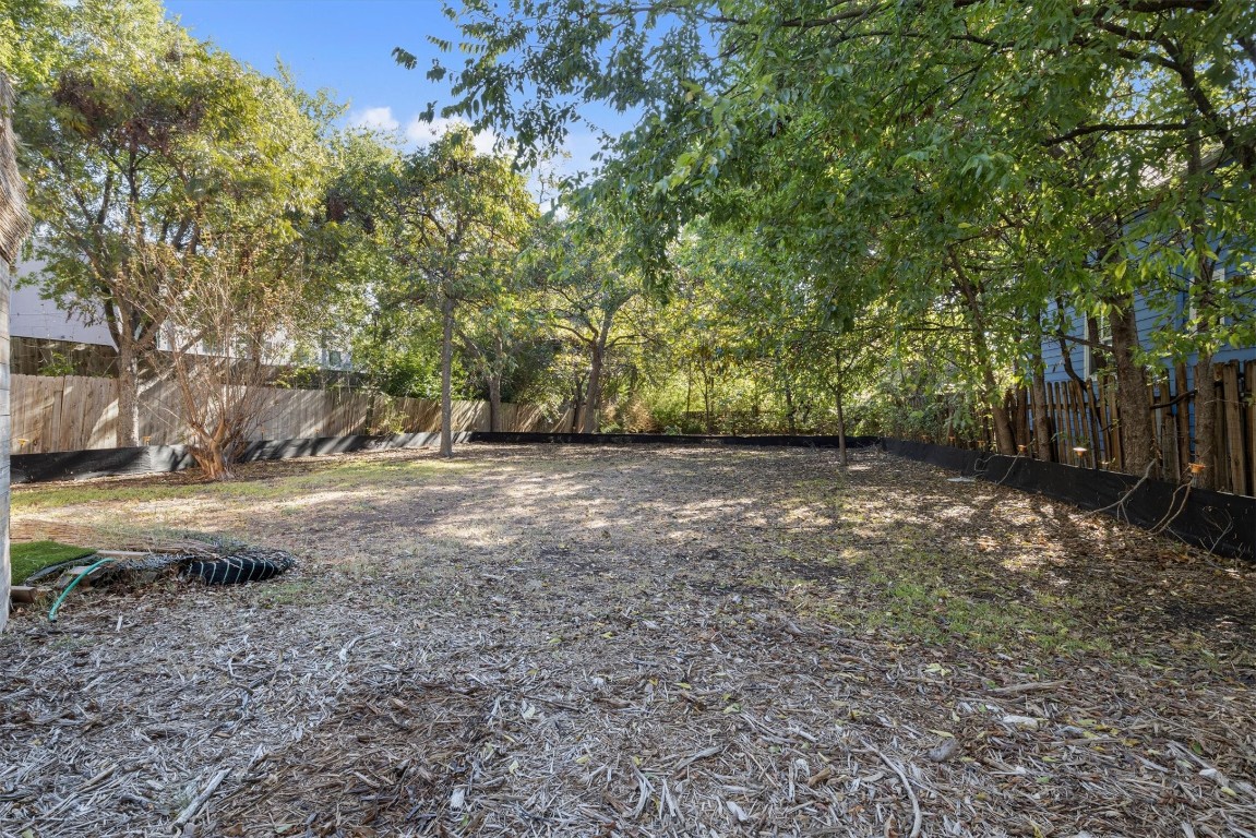 a view of a yard with a tree
