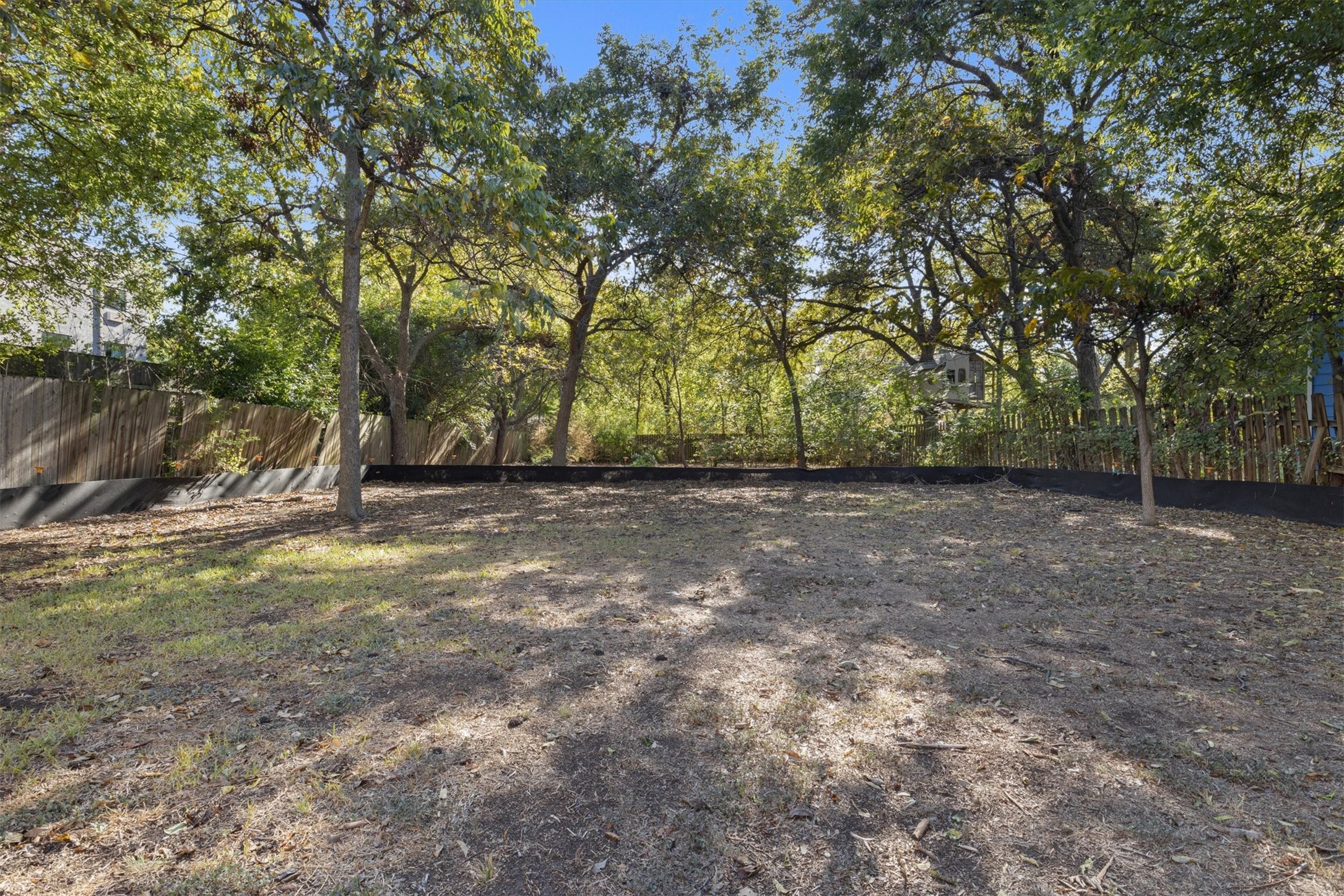 935 East 56th Street, Unit 2 & 3 Austin, TX 78751 - Photo 1 of 22 a view of a yard with a tree