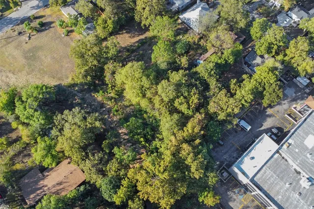 a view of a garden with plants