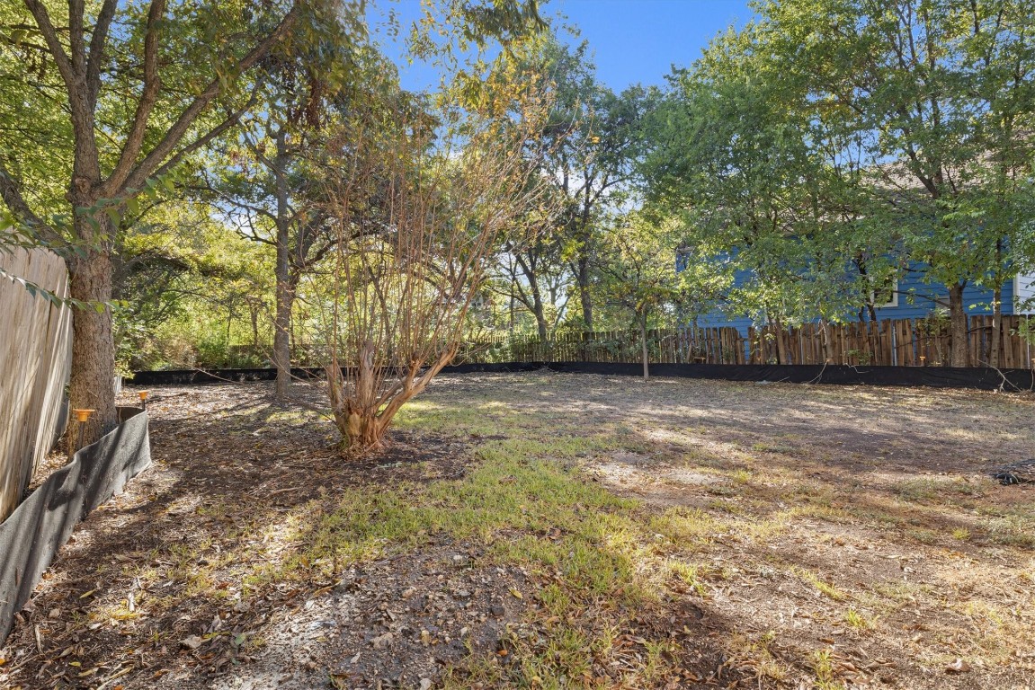 935 East 56th Street, Unit 2 & 3 Austin, TX 78751 - Photo 2 of 19 a view of a backyard with large trees