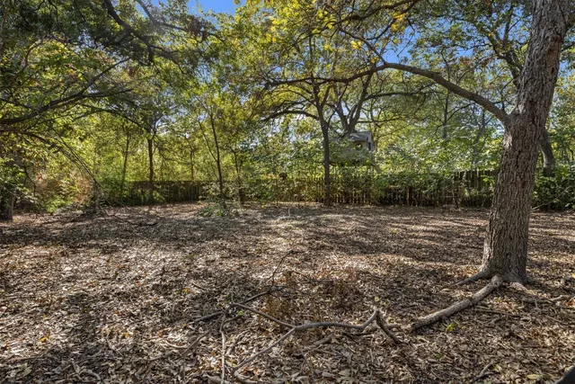 a view of a forest with trees