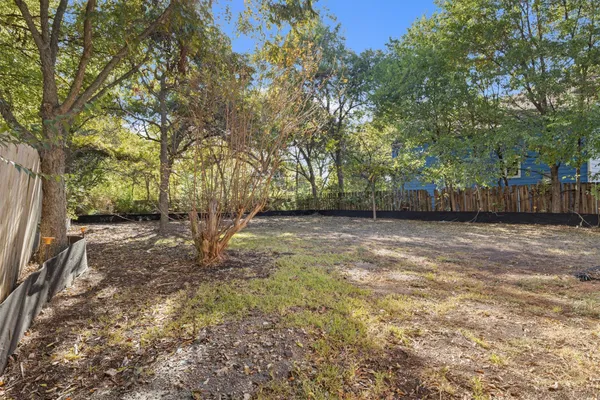 a view of a forest with trees
