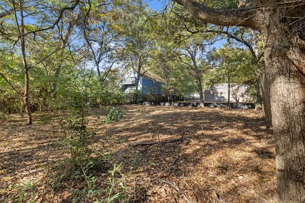 a view of a yard with plants and trees