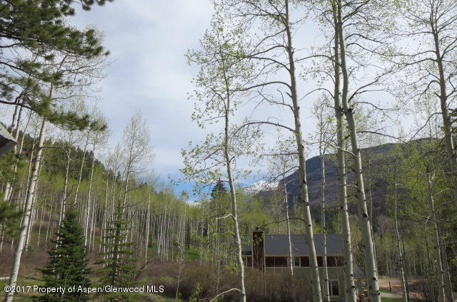 95 Chair Mountain Drive Redstone, CO 81623 - Photo 4 of 20 a view of a garden
