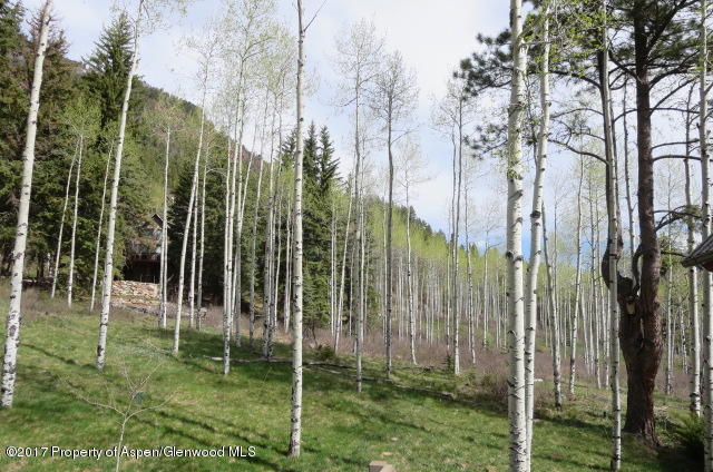 95 Chair Mountain Drive Redstone, CO 81623 - Photo 6 of 20 a view of outdoor space and garden