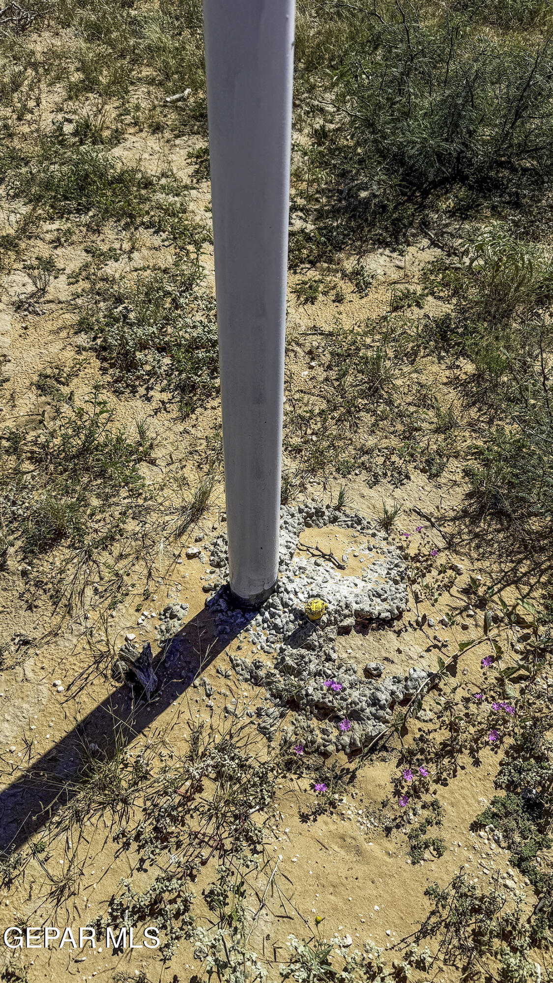 76041-2 Pn Ranch, Unit 617 Sierra Blanca, TX 79851 - Photo 22 of 28 a view of a yard with wooden fence