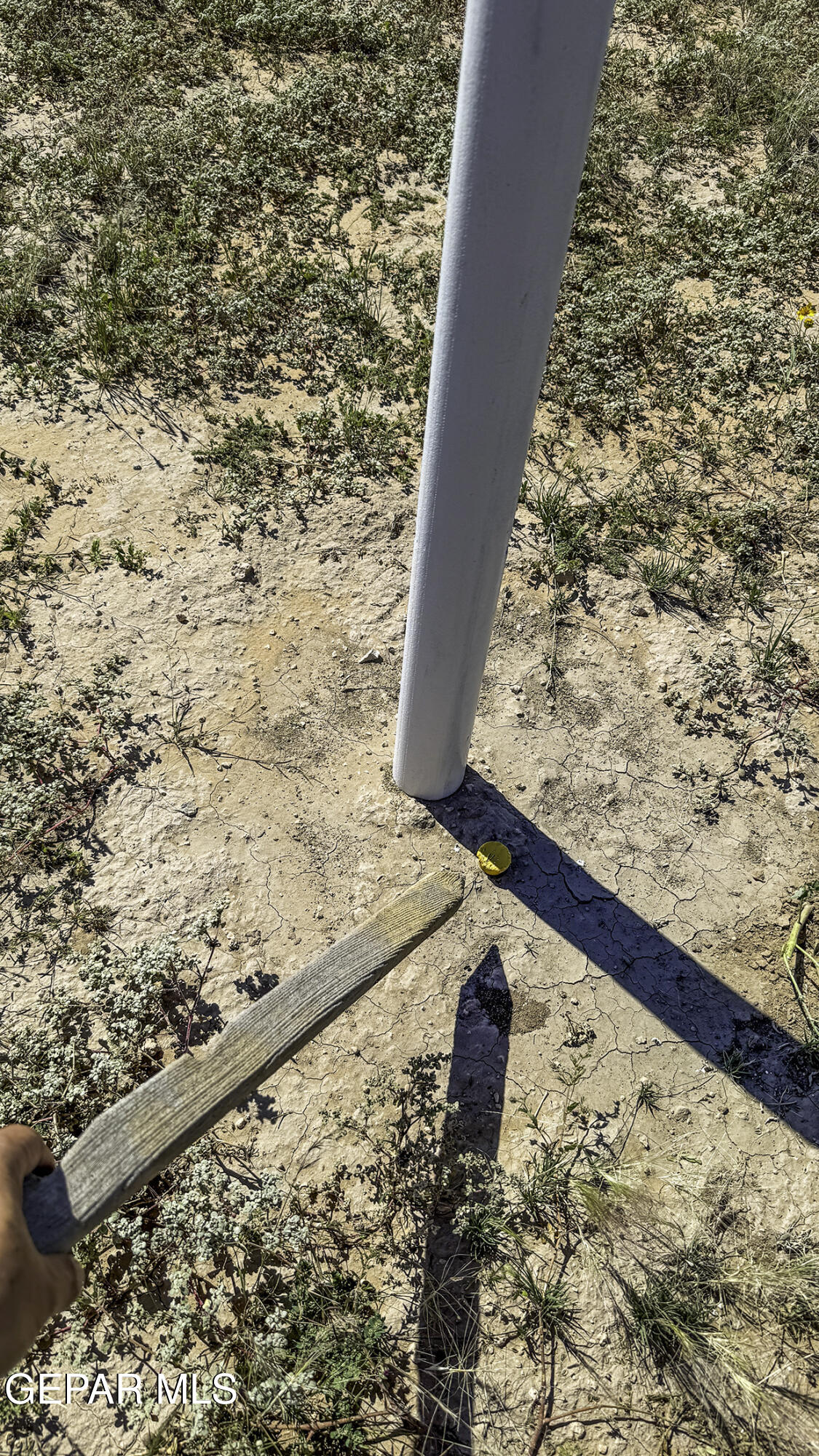 76041-2 Pn Ranch, Unit 617 Sierra Blanca, TX 79851 - Photo 24 of 28 a view of wooden floor