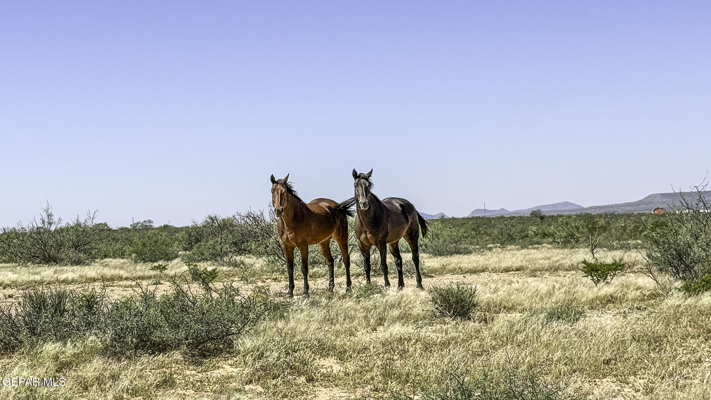 76041-2 Pn Ranch, Unit 617 Sierra Blanca, TX 79851 - Photo 25 of 28 a view of lake with mountain