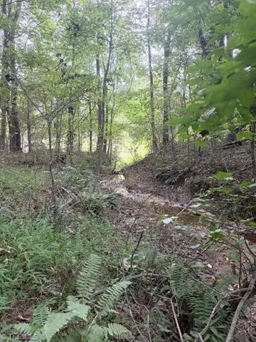 $199,000 | 0 West Greensboro Chapel Hill Road, Liberty, NC 27298