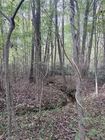 $199,000 | 0 West Greensboro Chapel Hill Road, Liberty, NC 27298