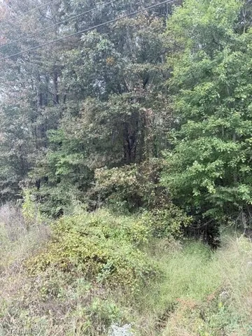 $199,000 | 0 West Greensboro Chapel Hill Road, Liberty, NC 27298