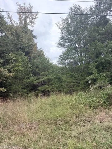 $199,000 | 0 West Greensboro Chapel Hill Road, Liberty, NC 27298