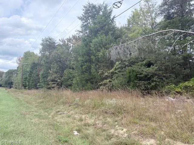 $199,000 | 0 West Greensboro Chapel Hill Road, Liberty, NC 27298