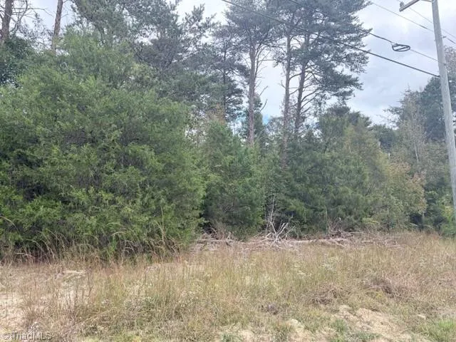 $199,000 | 0 West Greensboro Chapel Hill Road, Liberty, NC 27298