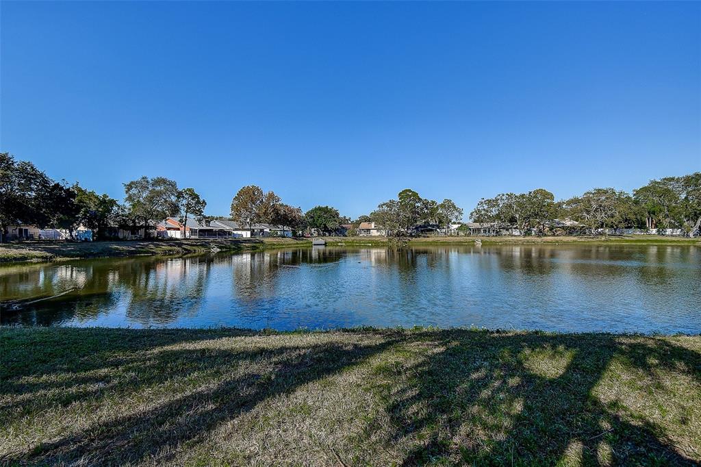289 Whisper Lake Road Palm Harbor, FL 34683 - Photo 30 of 40 a view of a lake with houses in the background