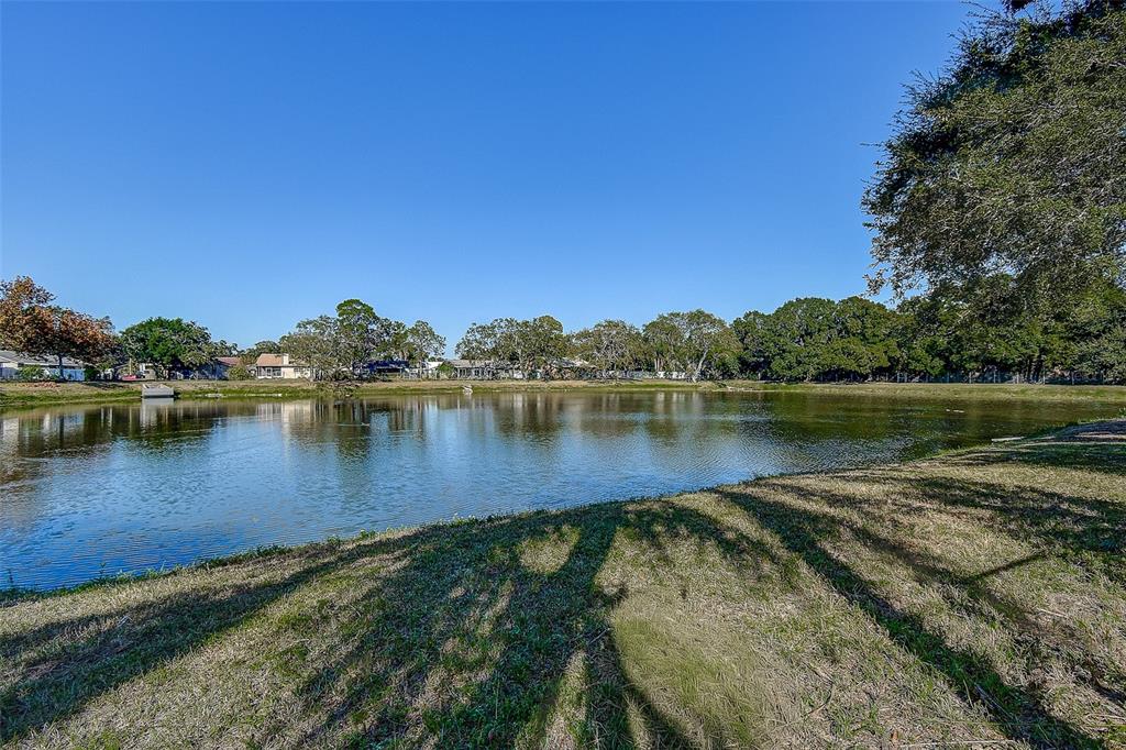 289 Whisper Lake Road Palm Harbor, FL 34683 - Photo 31 of 40 a view of a lake with houses in the background