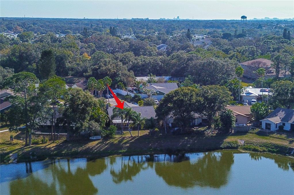 289 Whisper Lake Road Palm Harbor, FL 34683 - Photo 34 of 40 a view of a lake in middle of the town