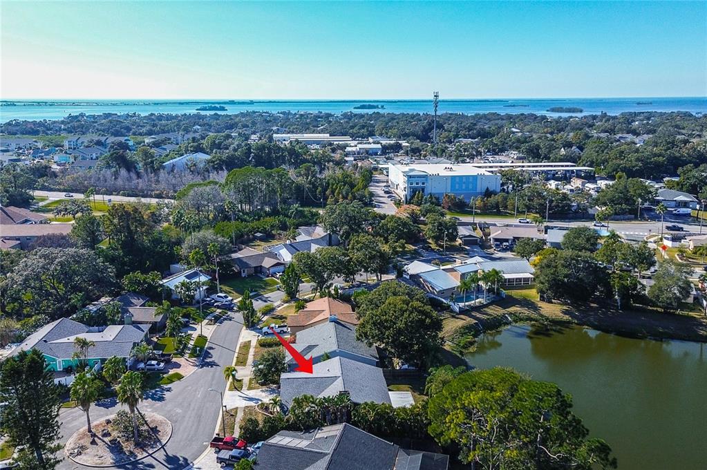 289 Whisper Lake Road Palm Harbor, FL 34683 - Photo 39 of 40 a view of a city