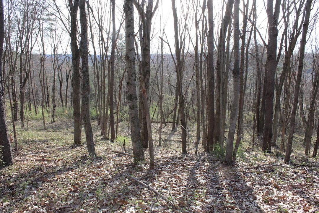 0 Vanatta Road Logan, OH 43138 - Photo 11 of 15
