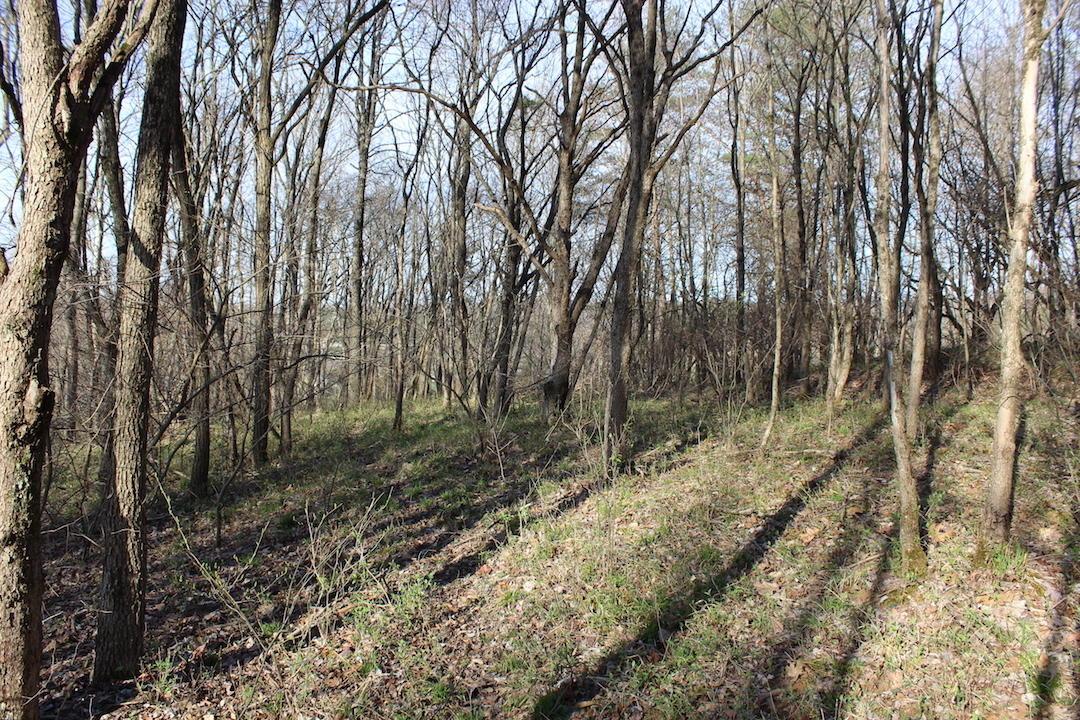 0 Vanatta Road Logan, OH 43138 - Photo 13 of 15