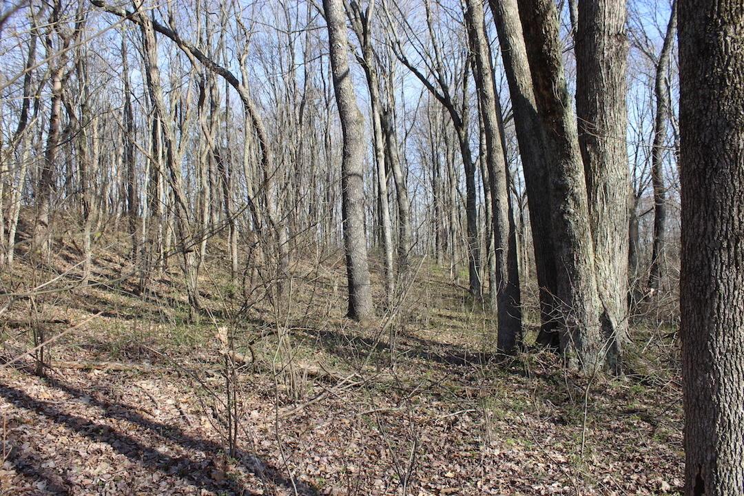 0 Vanatta Road Logan, OH 43138 - Photo 14 of 15