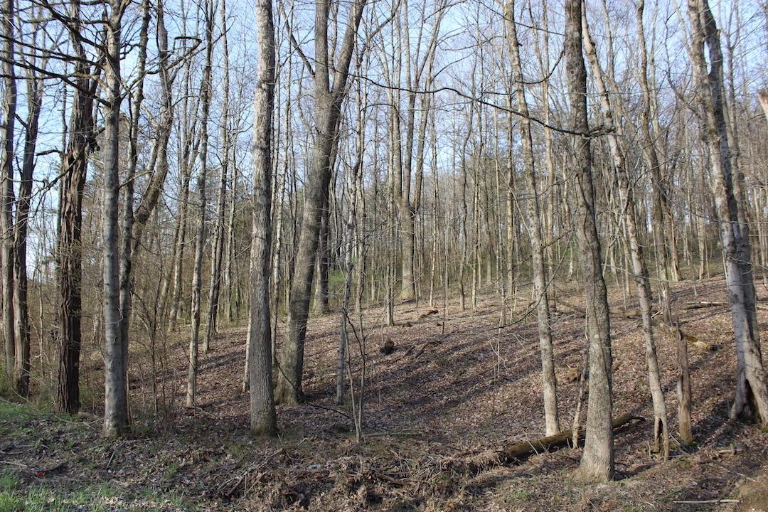 0 Vanatta Road Logan, OH 43138 - Photo 2 of 15