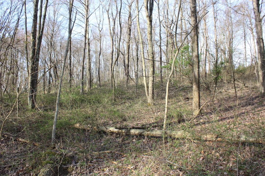 0 Vanatta Road Logan, OH 43138 - Photo 3 of 15