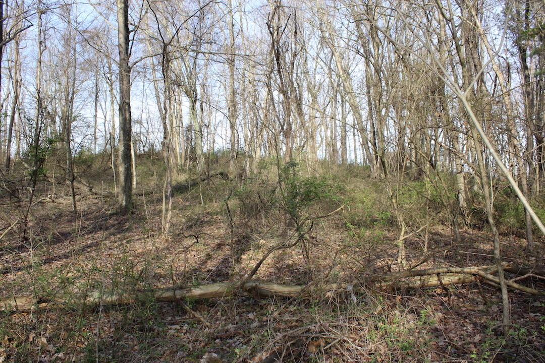 0 Vanatta Road Logan, OH 43138 - Photo 4 of 15