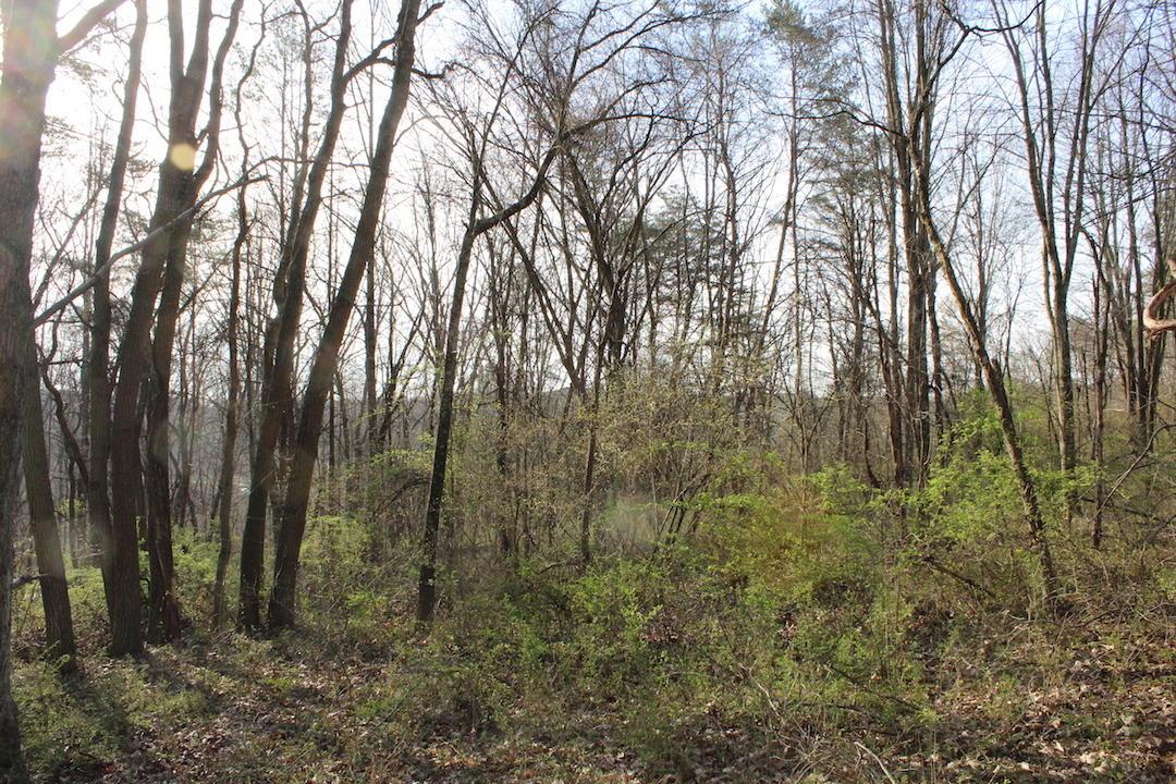 0 Vanatta Road Logan, OH 43138 - Photo 6 of 15