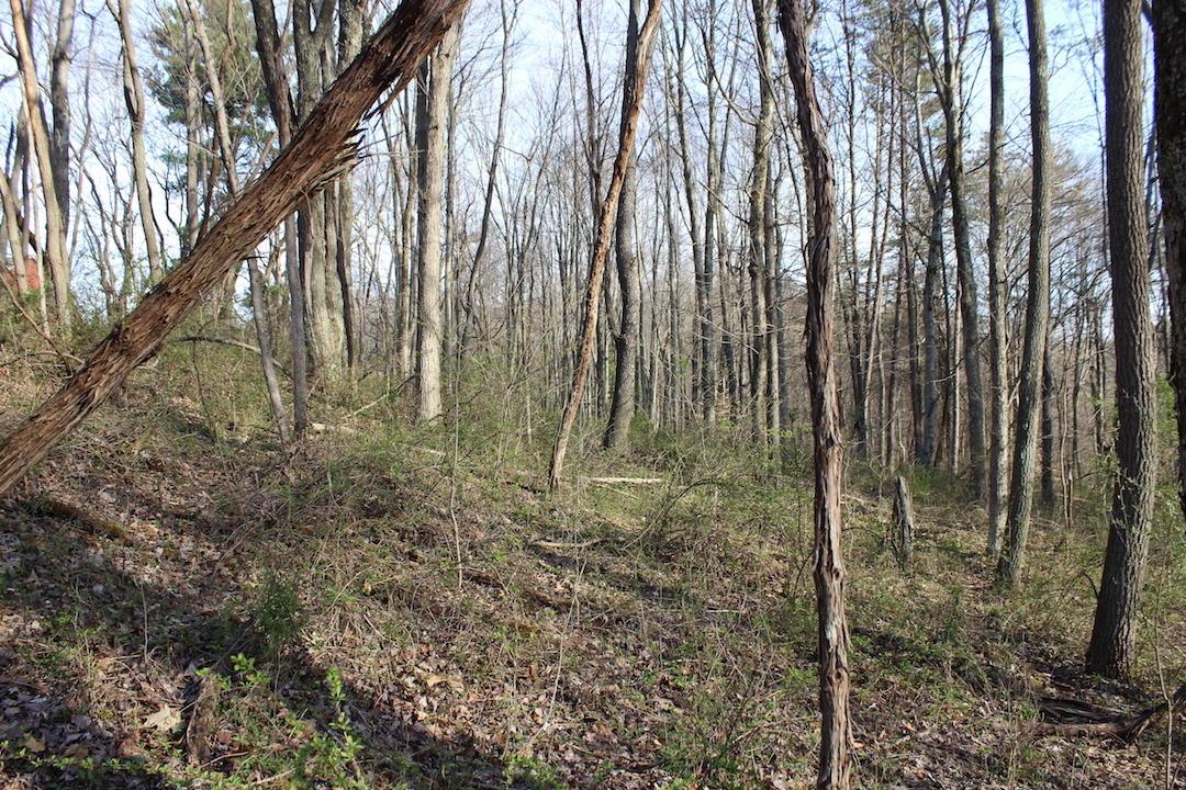 0 Vanatta Road Logan, OH 43138 - Photo 8 of 15