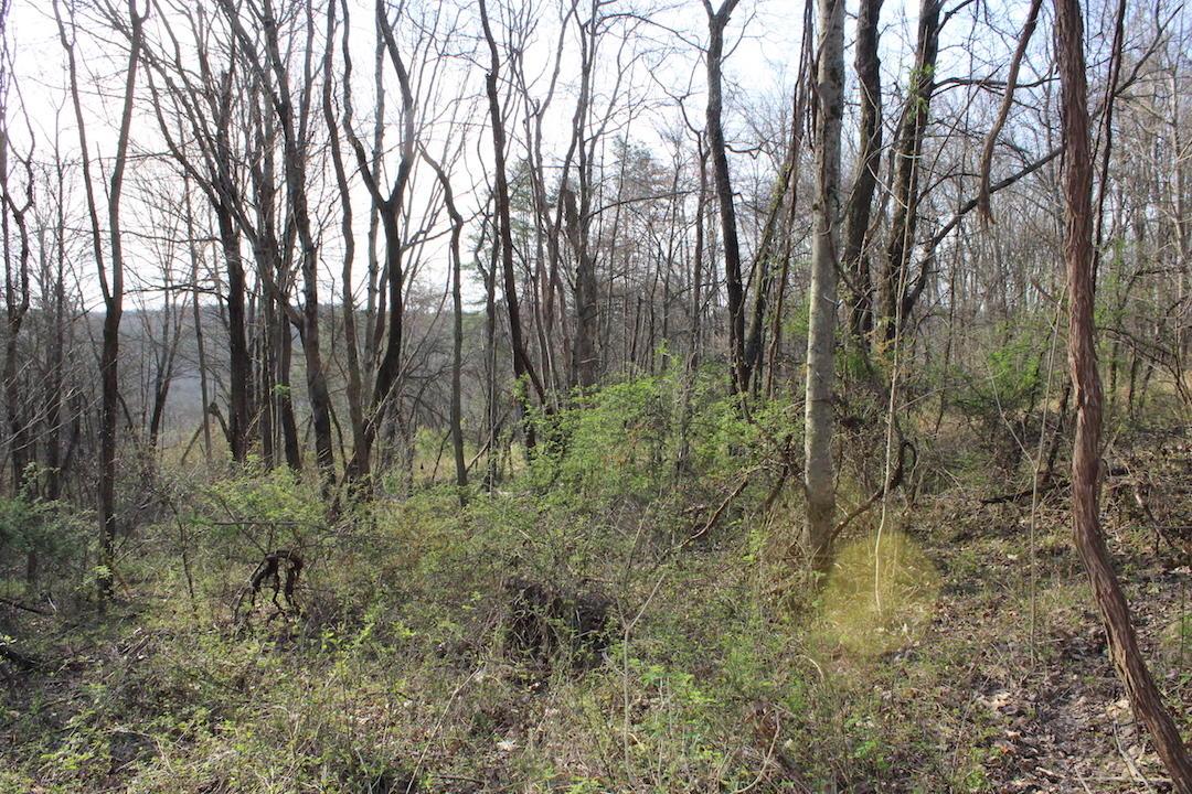 0 Vanatta Road Logan, OH 43138 - Photo 9 of 15