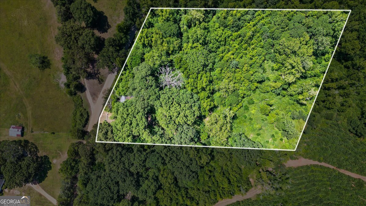 This image has been digitally altered.