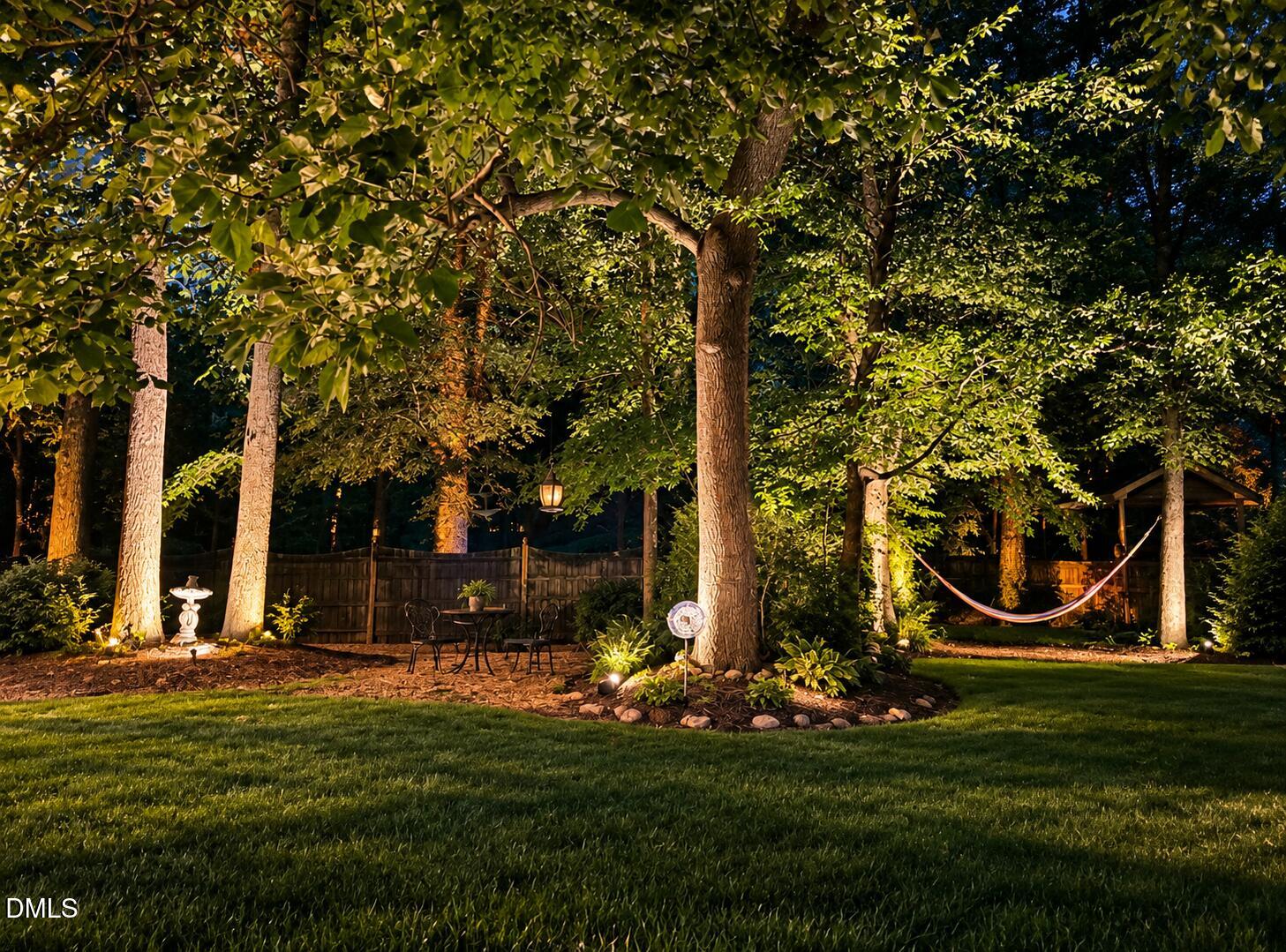 438 May Farm Road Pittsboro, NC 27312 - Photo 22 of 26 Back yard at Night