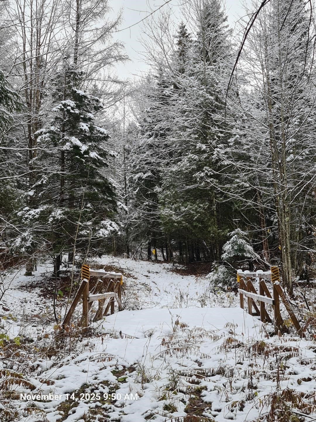 742 Highland Avenue Newport, VT 05855 - Photo 55 of 60