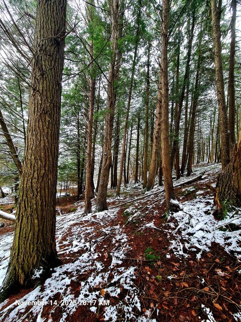 742 Highland Avenue Newport, VT 05855 - Photo 58 of 60